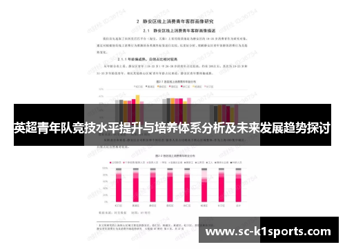 英超青年队竞技水平提升与培养体系分析及未来发展趋势探讨