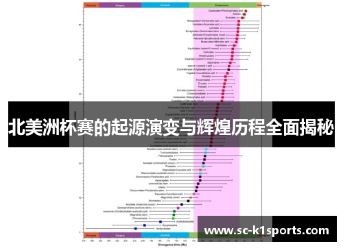 北美洲杯赛的起源演变与辉煌历程全面揭秘